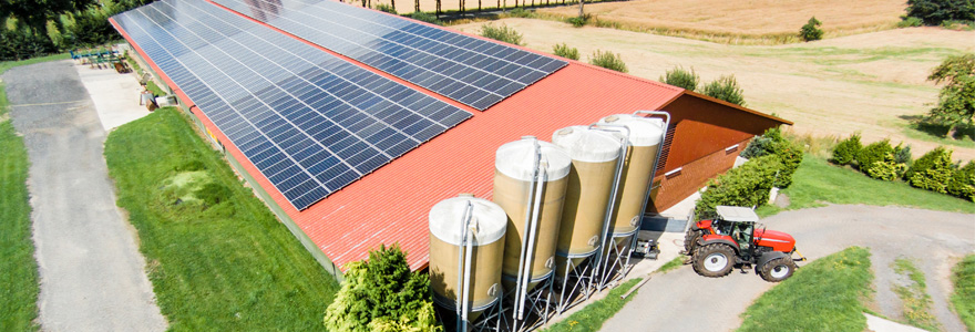 Ferme photovoltaïque